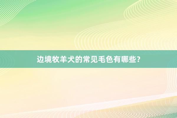 边境牧羊犬的常见毛色有哪些？