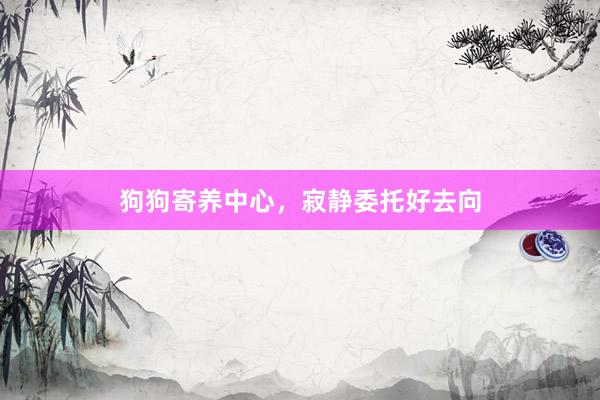 狗狗寄养中心，寂静委托好去向